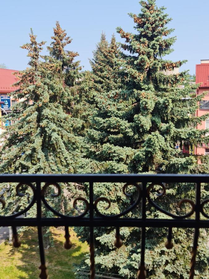 Hotel Villa Sofia تريسكافيتس المظهر الخارجي الصورة